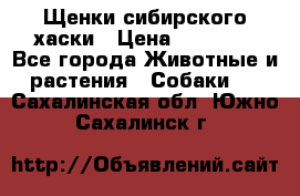 Щенки сибирского хаски › Цена ­ 12 000 - Все города Животные и растения » Собаки   . Сахалинская обл.,Южно-Сахалинск г.